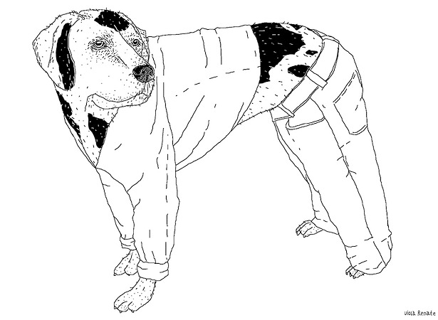 imgOldDogNewTrick imgOldDogNewTrick