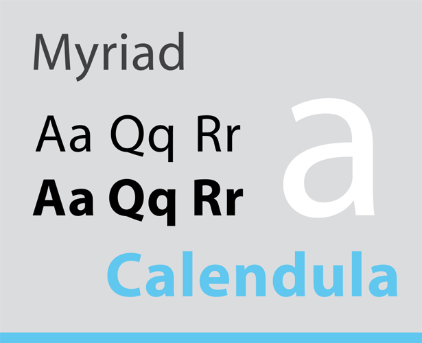 The most popular fonts used by designers myriad