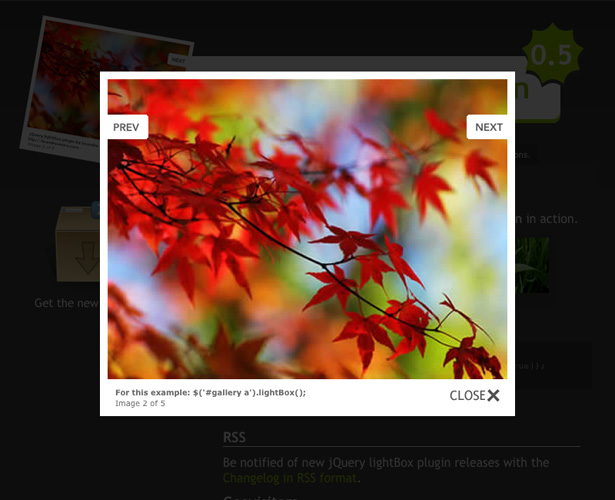 lightbox 1