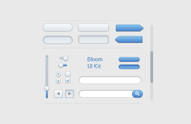 50+ PSD UI Web design elements bloomui