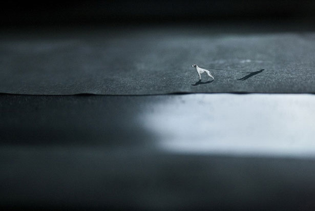 Minuscule photo collection by Maite Guerrero 2 83