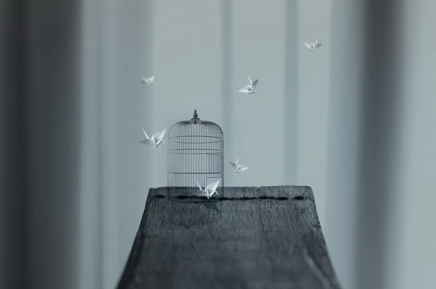 Minuscule photo collection by Maite Guerrero 7 68