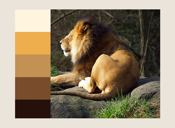 Our favorite tweets of the week <br/>Jun 13-Jun 19, 2011 12 70