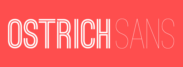 What’s new for web designers – Jun 2011 ostrichsans