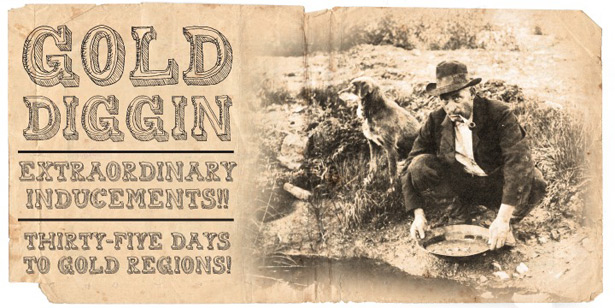 What’s new for web designers – May 2011 golddiggin