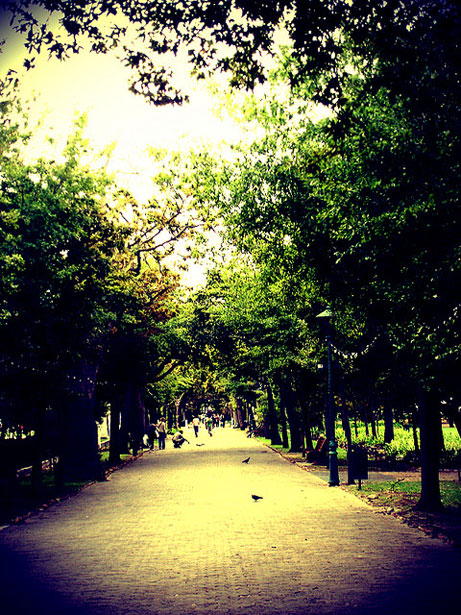 An Introduction to Lomography fakelomography