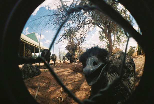 An Introduction to Lomography ceciliatemperlilomography