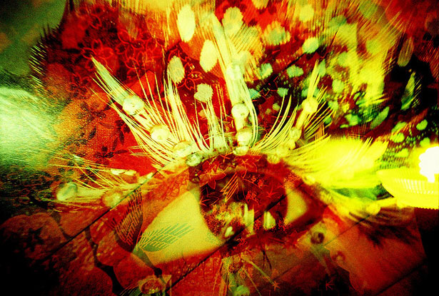 An Introduction to Lomography spectravision