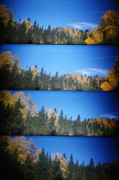 An Introduction to Lomography audreystantonlomo