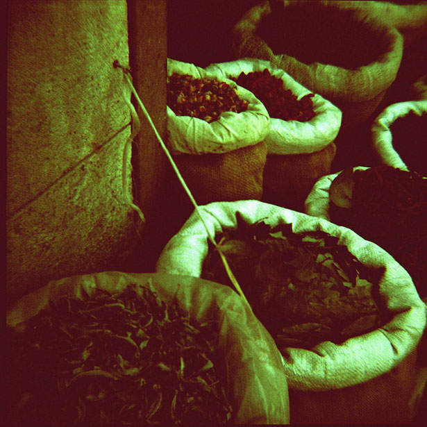 An Introduction to Lomography scienceinfuse