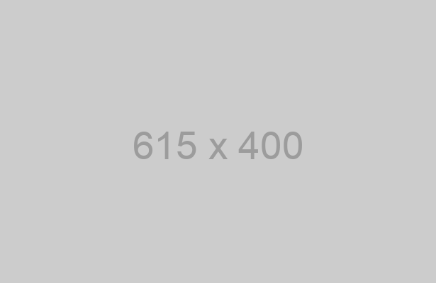 HTML5 and CSS3: Wireframing in the final product Placehold.it Placeholder Example