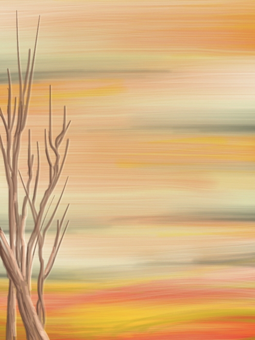 brushes mengelmn2