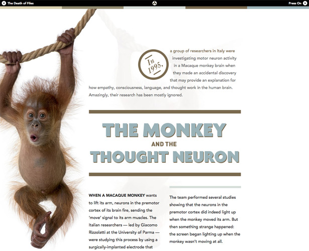 The Pros and Cons of Art-Directed Blogs dustincurtis mirrorneuron