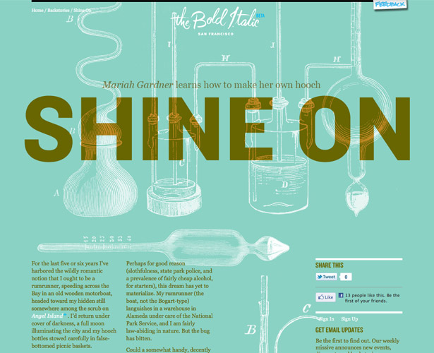 The Pros and Cons of Art-Directed Blogs thebolditalic shineon