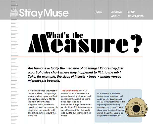 The Pros and Cons of Art-Directed Blogs thestraymuse whatsthemeasure