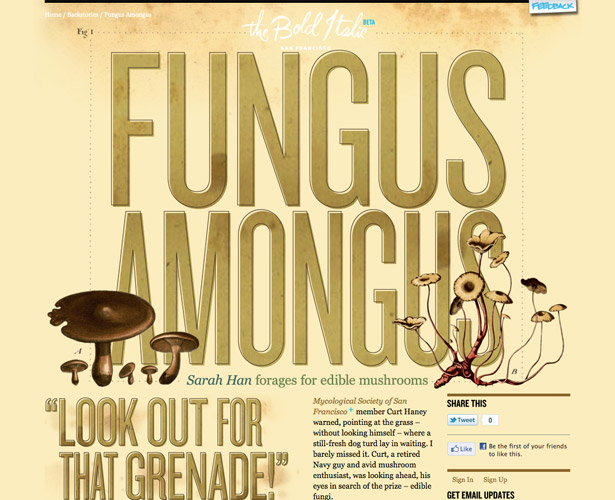 The Pros and Cons of Art-Directed Blogs thebolditalic fungusamongus