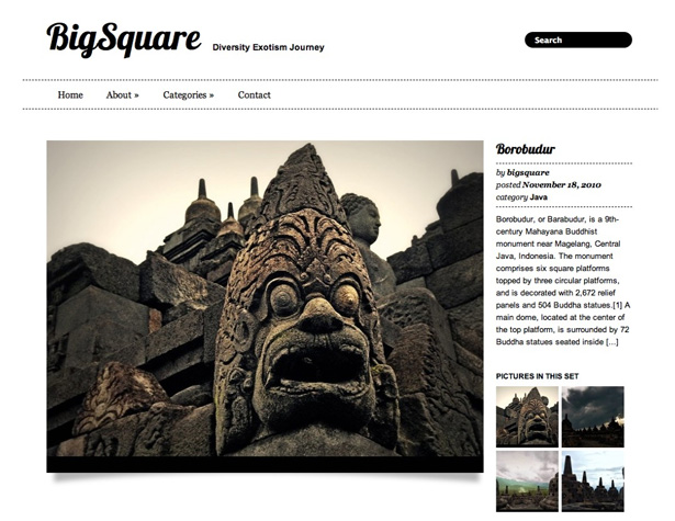 50+ New WordPress Themes: March 2011 bigsquare