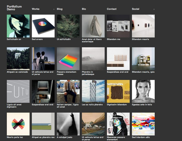 50+ New WordPress Themes: March 2011 portfolium
