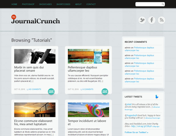 50+ New WordPress Themes: March 2011 journalcrunch