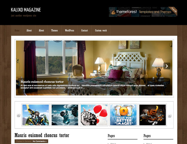 50+ New WordPress Themes: March 2011