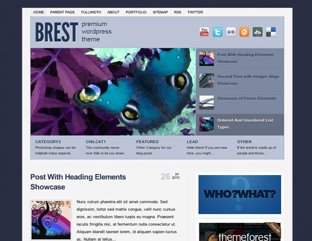 50+ New WordPress Themes: March 2011 brestlite
