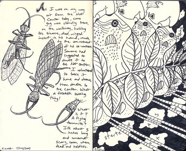 moleskinebook1pages61and62