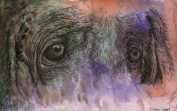moleskinebook6page55