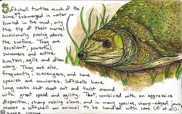 moleskinebook4page14