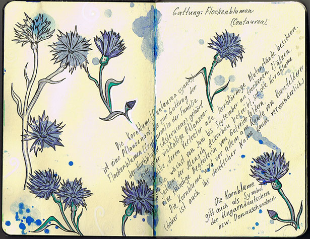 flockenblume