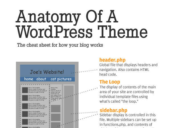 anatomywptheme