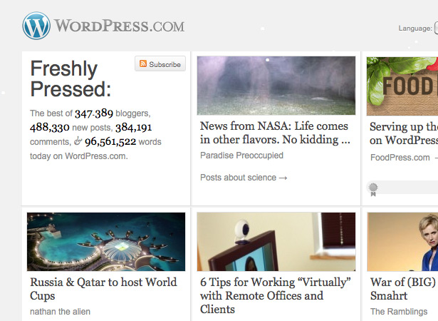 wordpress 31