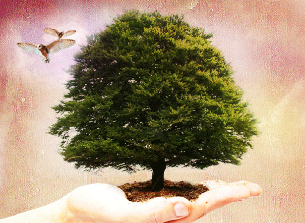 50 of the Best Photoshop Tutorials of 2010 naturephotomanipulation