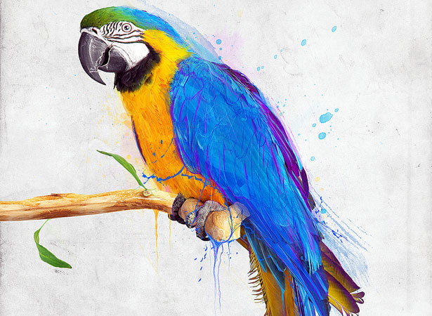 50 of the Best Photoshop Tutorials of 2010 mattedispersioneffect
