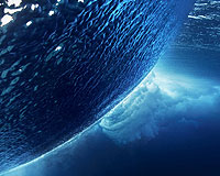 Our Favorite Tweets of the Week <br/>Nov 28-Dec 5, 2010