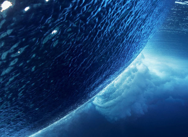 Our Favorite Tweets of the Week <br/>Nov 28-Dec 5, 2010 12 3