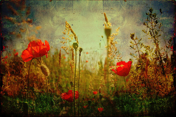 Finding Inspiration on Flickr artshow