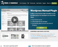 Win 3 Licenses of the WordPress Manual Plugin