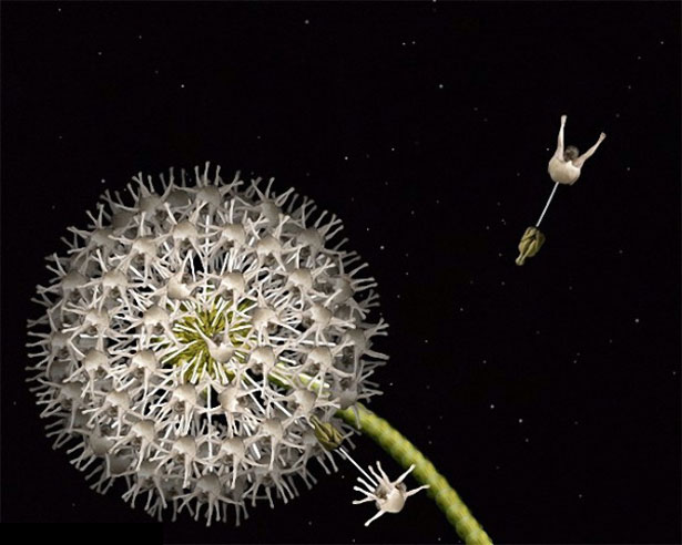 Stunning Collection of Human Flowers 3 11