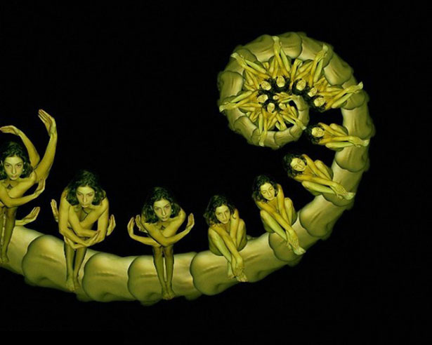 Stunning Collection of Human Flowers 6 11