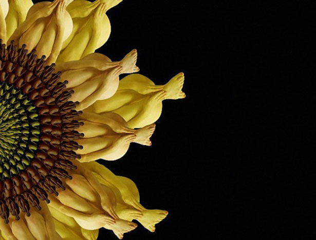 Stunning Collection of Human Flowers 8 10