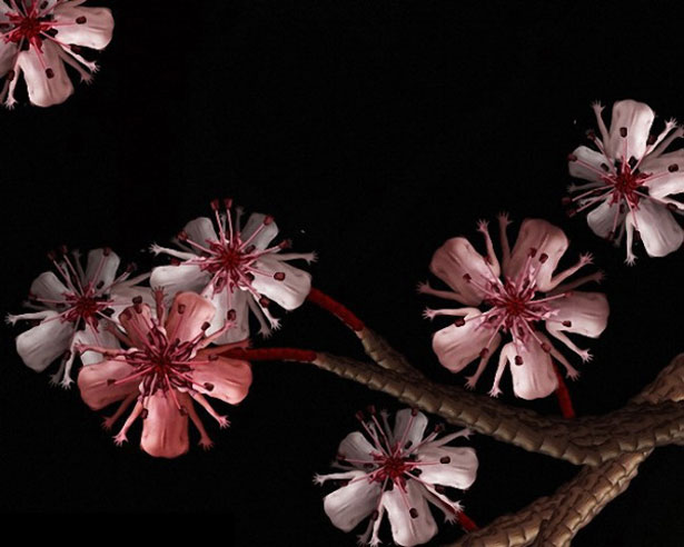 Stunning Collection of Human Flowers 11 11