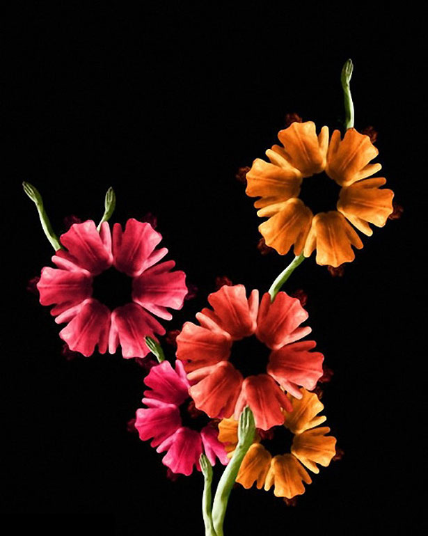 Stunning Collection of Human Flowers 16 4