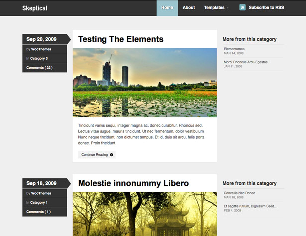 45+ New WordPress Themes: October 2010 skeptical