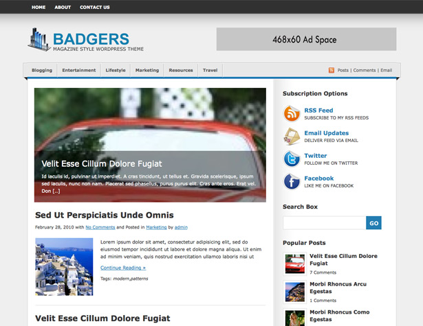 45+ New WordPress Themes: October 2010 badgers