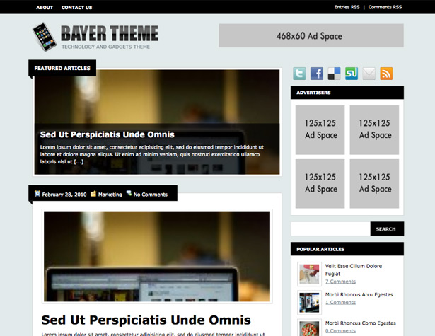 45+ New WordPress Themes: October 2010 bayer