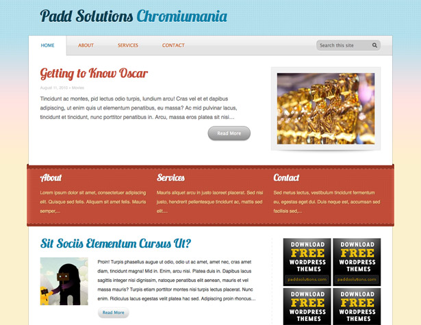 45+ New WordPress Themes: October 2010 chromiumania