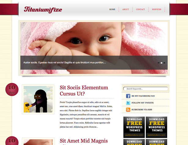 45+ New WordPress Themes: October 2010 titaniumifize