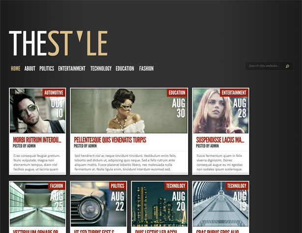 45+ New WordPress Themes: October 2010 thestyle