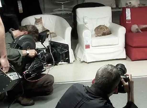 Our Favorite Tweets of the Week <br/>Sep 26-Oct 2, 2010 6 15