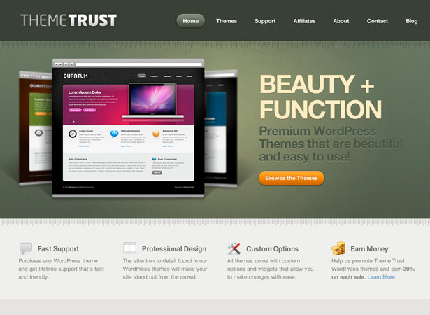 10 Places to Buy Professionally Designed WordPress Themes Professional WordPress Themes